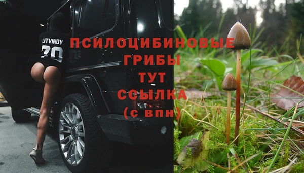 первитин Абинск