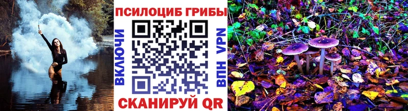 где можно купить   Домодедово  omg маркетплейс  Псилоцибиновые грибы MAGIC MUSHROOMS 